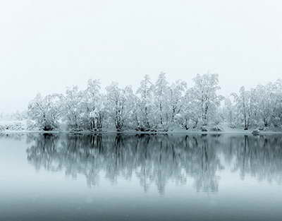 Абай облысында театр өнерін дамыту жөніндегі жоғары көркемдік кеңес құрылды