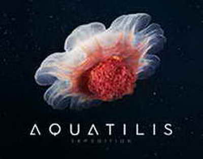 Чиновники администрации Трампа рассматривают спикера парламента Ирана Галибафа в качестве потенциального лидера страны