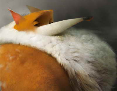 Құрылтай, Халық Кеңесі, «Миранда ережесі» – жаңа Конституция жобасы халық назарына ұсынылды